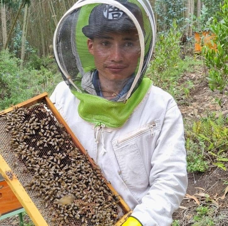 Apicultor mostrando un marco cubierto de abejas durante una visita guiada al apiario
