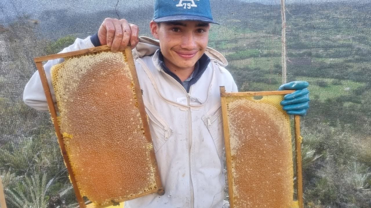 Apicultor de Apicultura al Rescate sosteniendo dos marcos de miel en panal en el páramo de Boyacá