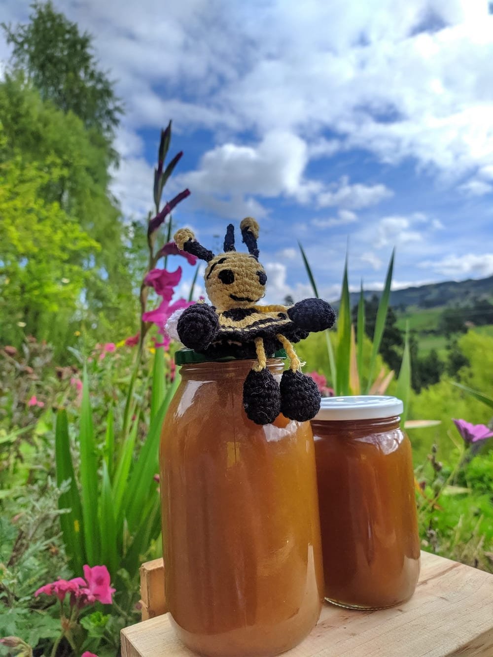 Frascos de miel de abeja artesanal de Boyacá con abejita tejida, flores y montañas: beneficios de la miel pura
